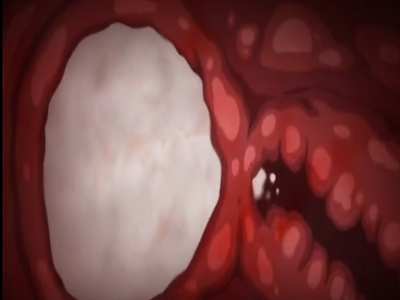Thumbnail of post image 079